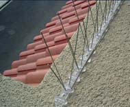 bird spikes