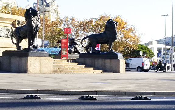 road separator tigre installed