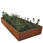 Alcor planter-tree pit