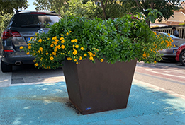 prei installed planter