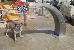 dog shower installed